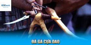 Đá Gà Cửa Dao Là Gì